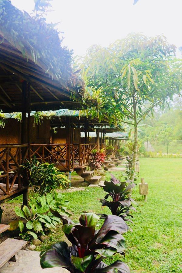 Back Trippers Inn San Vicente  Dış mekan fotoğraf